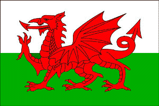 St-Davids-wales-welsh-flag