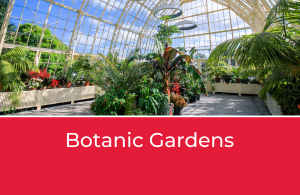 Botanic gardens Dublin