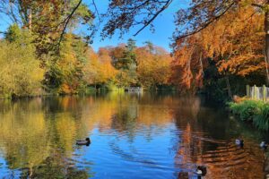 Scenic view of Marlay Park in Dublin featuring lush green lawns, tree-lined paths, and a serene lake on a sunny autumn day.