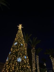 Christmas tree and palm trees decorated with lights at night