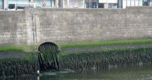 Medieval Dublin Walking Tour